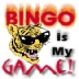 BingoIsMyGame.BMP